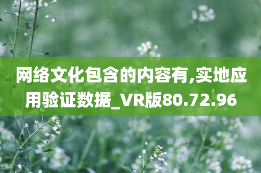 网络文化包含的内容有,实地应用验证数据_VR版80.72.96