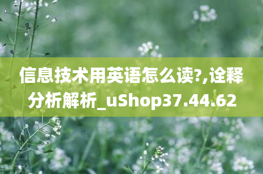 信息技术用英语怎么读?,诠释分析解析_uShop37.44.62