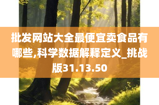 批发网站大全最便宜卖食品有哪些,科学数据解释定义_挑战版31.13.50