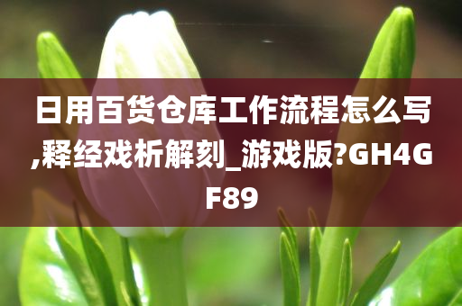 日用百货仓库工作流程怎么写,释经戏析解刻_游戏版?GH4GF89