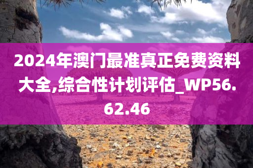 2024年澳门最准真正免费资料大全,综合性计划评估_WP56.62.46