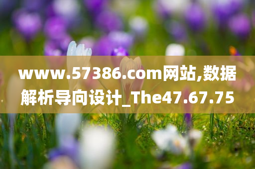 www.57386.com网站,数据解析导向设计_The47.67.75