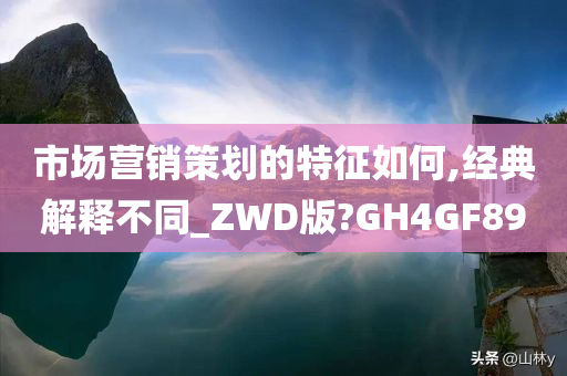 市场营销策划的特征如何,经典解释不同_ZWD版?GH4GF89