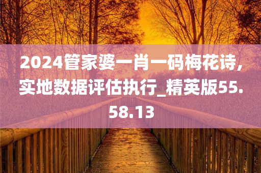 2024管家婆一肖一码梅花诗,实地数据评估执行_精英版55.58.13