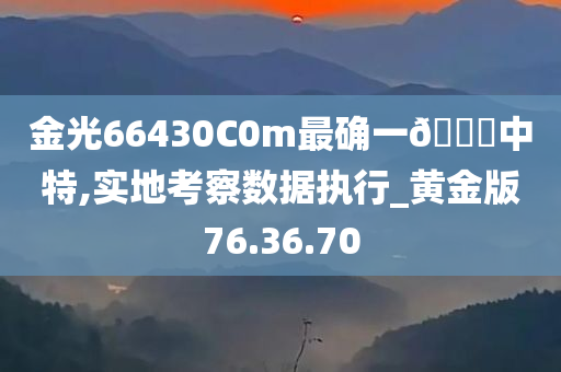 金光66430C0m最确一🐎中特,实地考察数据执行_黄金版76.36.70