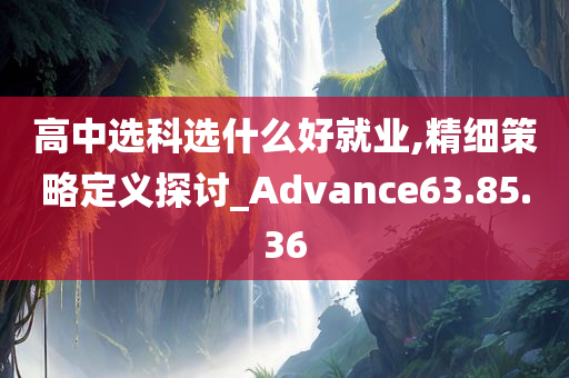 高中选科选什么好就业,精细策略定义探讨_Advance63.85.36