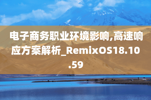 电子商务职业环境影响,高速响应方案解析_RemixOS18.10.59