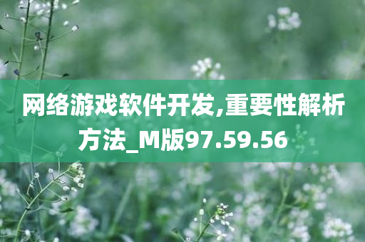 网络游戏软件开发,重要性解析方法_M版97.59.56