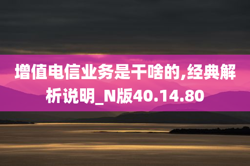 增值电信业务是干啥的,经典解析说明_N版40.14.80