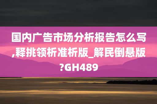 国内广告市场分析报告怎么写,释挑领析准析版_解民倒悬版?GH489