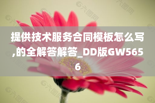 提供技术服务合同模板怎么写,的全解答解答_DD版GW5656