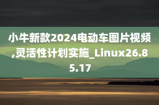 小牛新款2024电动车图片视频,灵活性计划实施_Linux26.85.17