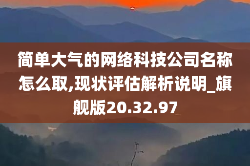 简单大气的网络科技公司名称怎么取,现状评估解析说明_旗舰版20.32.97