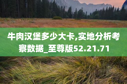 牛肉汉堡多少大卡,实地分析考察数据_至尊版52.21.71