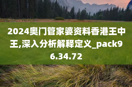 2024奥门管家婆资料香港王中王,深入分析解释定义_pack96.34.72