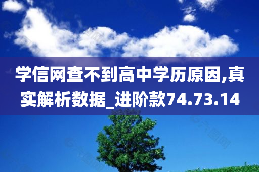 学信网查不到高中学历原因,真实解析数据_进阶款74.73.14