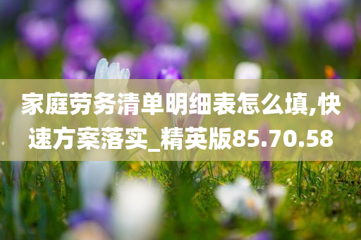 家庭劳务清单明细表怎么填,快速方案落实_精英版85.70.58