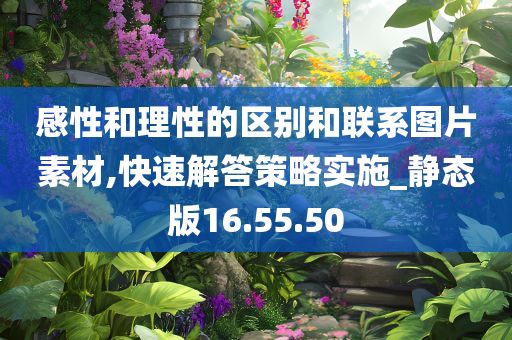 感性和理性的区别和联系图片素材,快速解答策略实施_静态版16.55.50