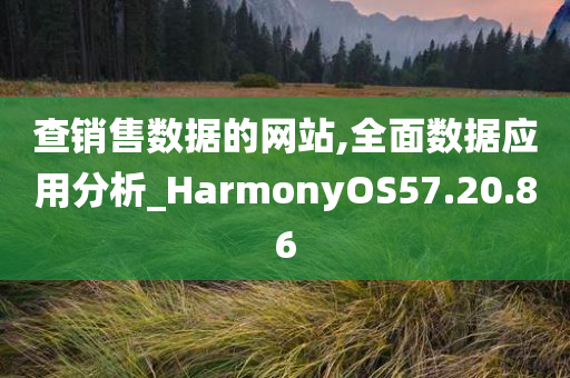 查销售数据的网站,全面数据应用分析_HarmonyOS57.20.86