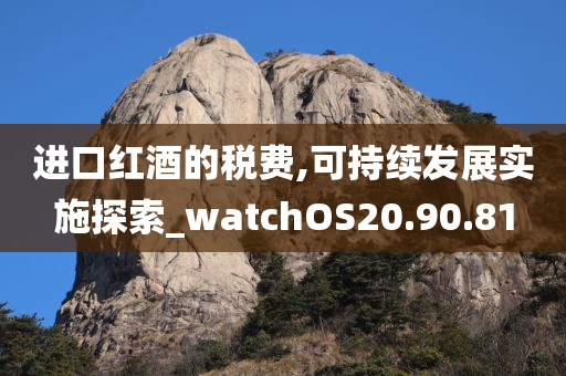 进口红酒的税费,可持续发展实施探索_watchOS20.90.81