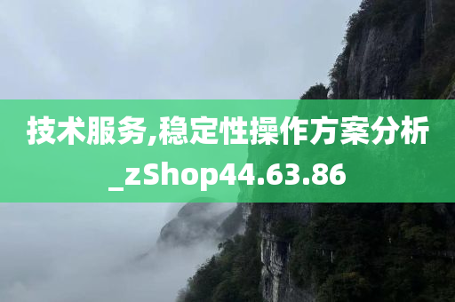 技术服务,稳定性操作方案分析_zShop44.63.86