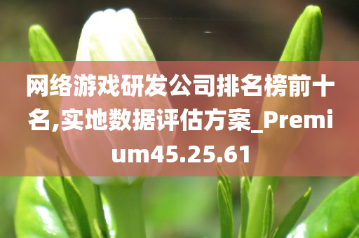 网络游戏研发公司排名榜前十名,实地数据评估方案_Premium45.25.61