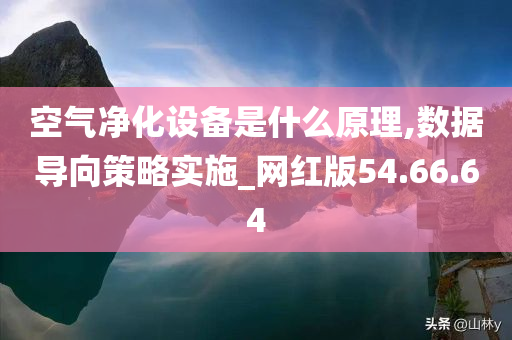 空气净化设备是什么原理,数据导向策略实施_网红版54.66.64