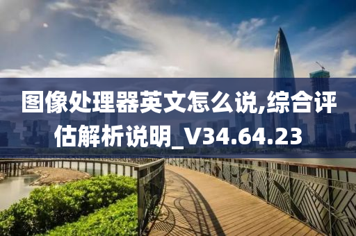 图像处理器英文怎么说,综合评估解析说明_V34.64.23