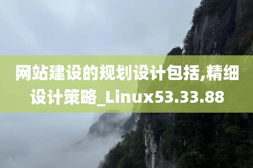 网站建设的规划设计包括,精细设计策略_Linux53.33.88