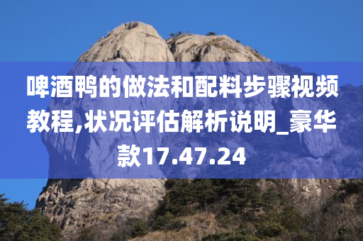 啤酒鸭的做法和配料步骤视频教程,状况评估解析说明_豪华款17.47.24