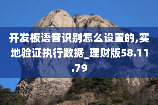 开发板语音识别怎么设置的,实地验证执行数据_理财版58.11.79