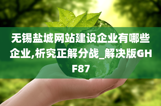 无锡盐城网站建设企业有哪些企业,析究正解分战_解决版GHF87