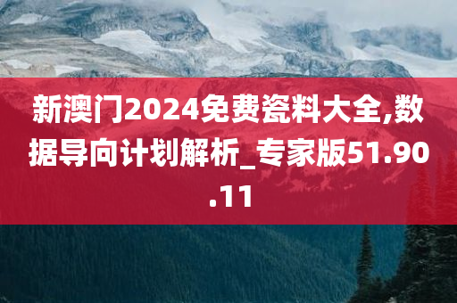 新澳门2024免费瓷料大全,数据导向计划解析_专家版51.90.11