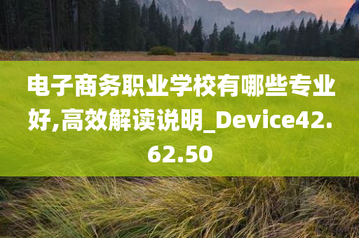 电子商务职业学校有哪些专业好,高效解读说明_Device42.62.50