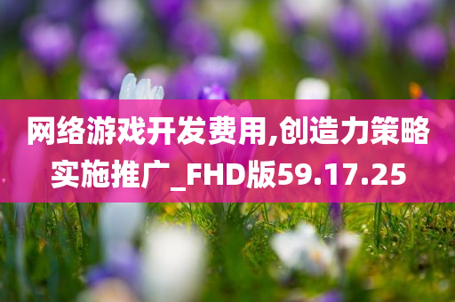 网络游戏开发费用,创造力策略实施推广_FHD版59.17.25