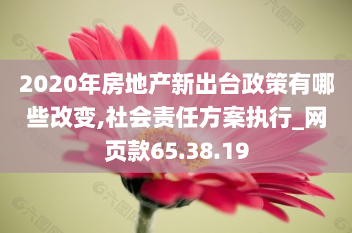 2020年房地产新出台政策有哪些改变,社会责任方案执行_网页款65.38.19