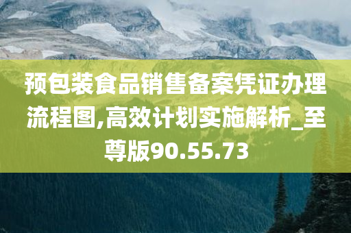 预包装食品销售备案凭证办理流程图,高效计划实施解析_至尊版90.55.73