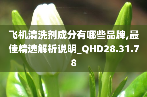 飞机清洗剂成分有哪些品牌,最佳精选解析说明_QHD28.31.78