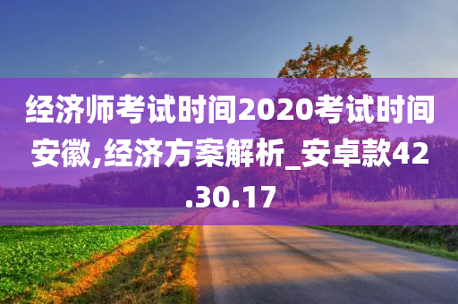 经济师考试时间2020考试时间安徽,经济方案解析_安卓款42.30.17