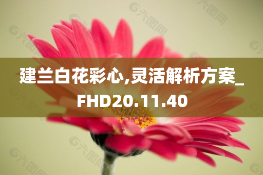 建兰白花彩心,灵活解析方案_FHD20.11.40