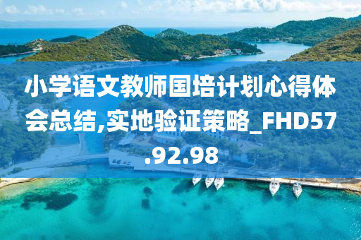 小学语文教师国培计划心得体会总结,实地验证策略_FHD57.92.98