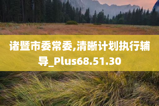 诸暨市委常委,清晰计划执行辅导_Plus68.51.30