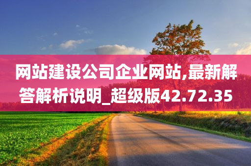 网站建设公司企业网站,最新解答解析说明_超级版42.72.35