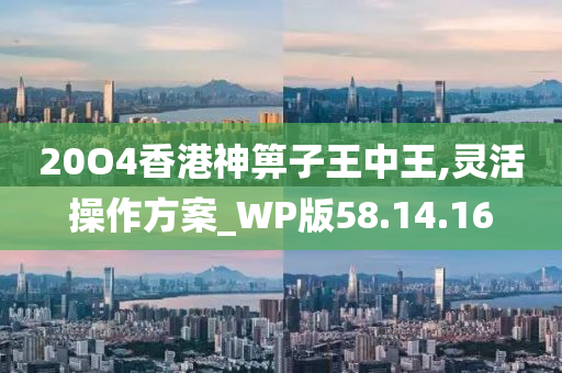 20O4香港神箅子王中王,灵活操作方案_WP版58.14.16