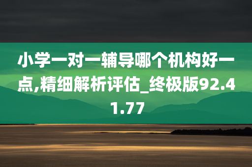 小学一对一辅导哪个机构好一点,精细解析评估_终极版92.41.77