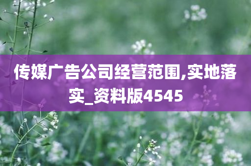 传媒广告公司经营范围,实地落实_资料版4545