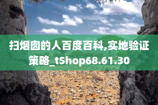 扫烟囱的人百度百科,实地验证策略_tShop68.61.30