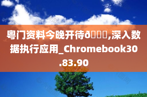 粤门资料今晚开待🐎,深入数据执行应用_Chromebook30.83.90