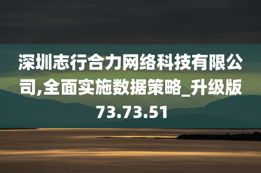 深圳志行合力网络科技有限公司,全面实施数据策略_升级版73.73.51