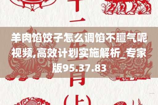 羊肉馅饺子怎么调馅不膻气呢视频,高效计划实施解析_专家版95.37.83